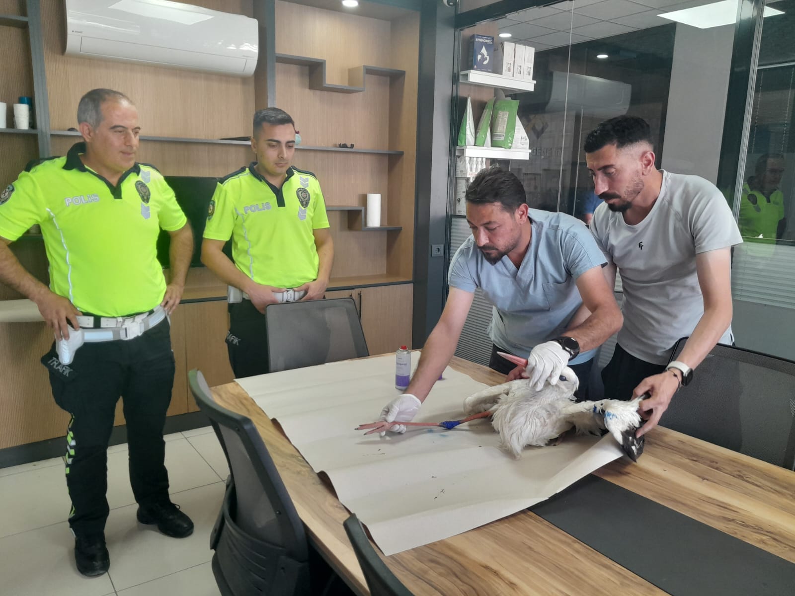Yaralı leyleğe polis sahip çıktı