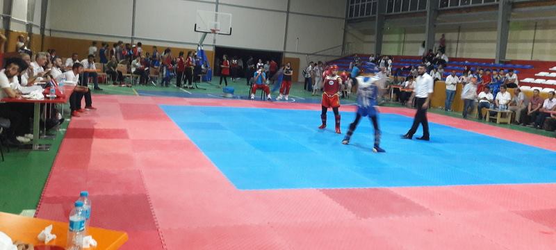 Wu Shu Kungfu şampiyonası yapıldı